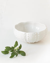 Salatschüssel Sea Creatures 18 cm