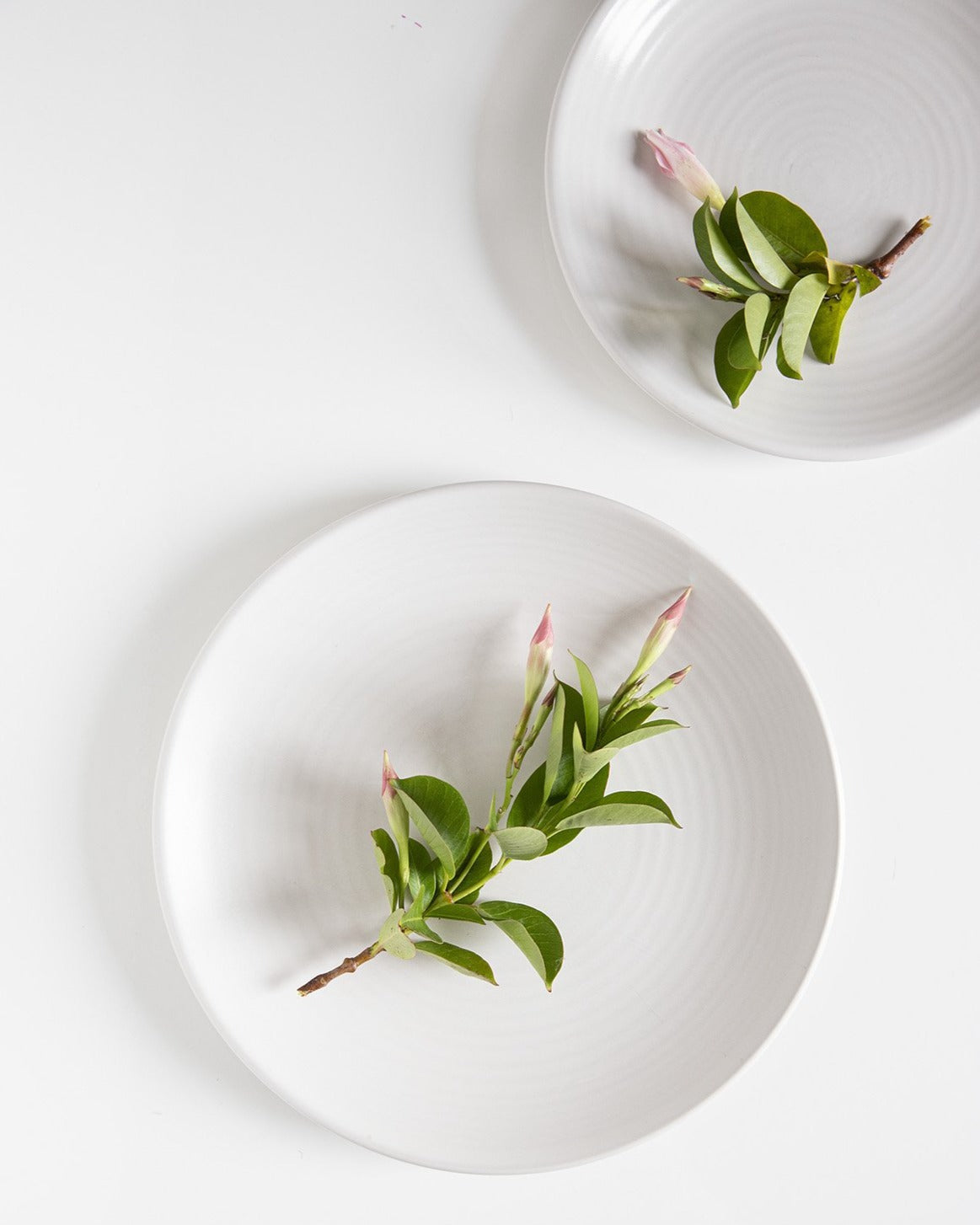 Plato llano Pearl